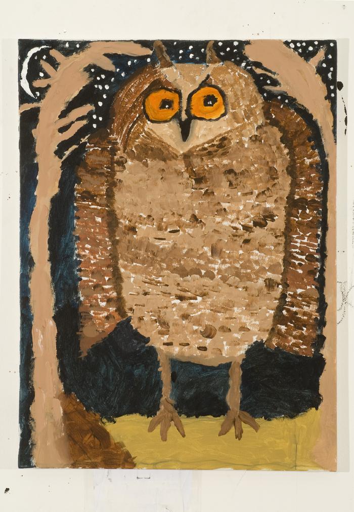 An Eagle Owl